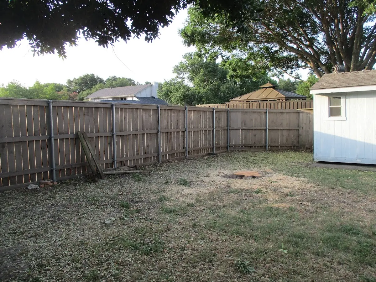Cleared yard after professional tree removal in Twin Mountain